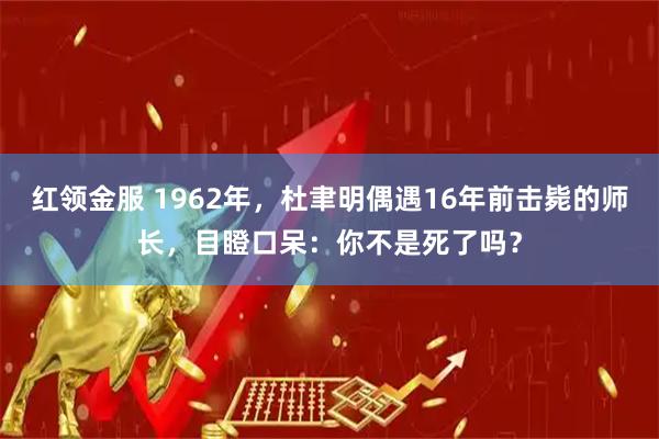 红领金服 1962年，杜聿明偶遇16年前击毙的师长，目瞪口呆：你不是死了吗？