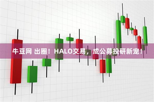 牛豆网 出圈！HALO交易，成公募投研新宠！