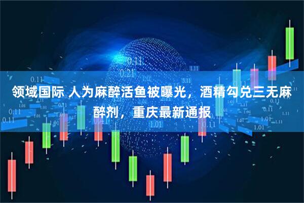 领域国际 人为麻醉活鱼被曝光，酒精勾兑三无麻醉剂，重庆最新通报