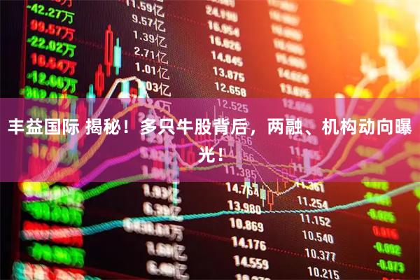 丰益国际 揭秘！多只牛股背后，两融、机构动向曝光！