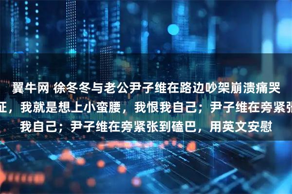 翼牛网 徐冬冬与老公尹子维在路边吵架崩溃痛哭：去广州塔忘带身份证，我就是想上小蛮腰，我恨我自己；尹子维在旁紧张到磕巴，用英文安慰