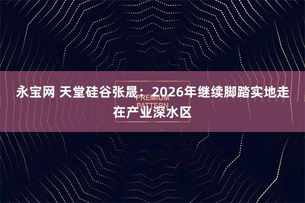 永宝网 天堂硅谷张晟：2026年继续脚踏实地走在产业深水区