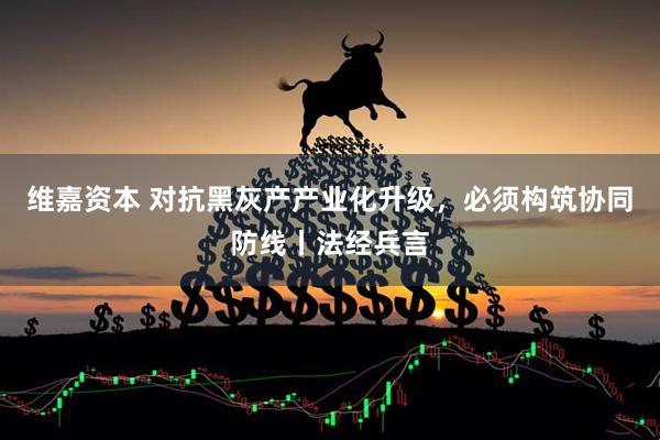 维嘉资本 对抗黑灰产产业化升级，必须构筑协同防线丨法经兵言