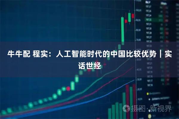 牛牛配 程实：人工智能时代的中国比较优势︱实话世经
