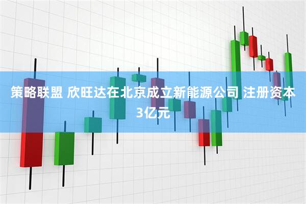 策略联盟 欣旺达在北京成立新能源公司 注册资本3亿元