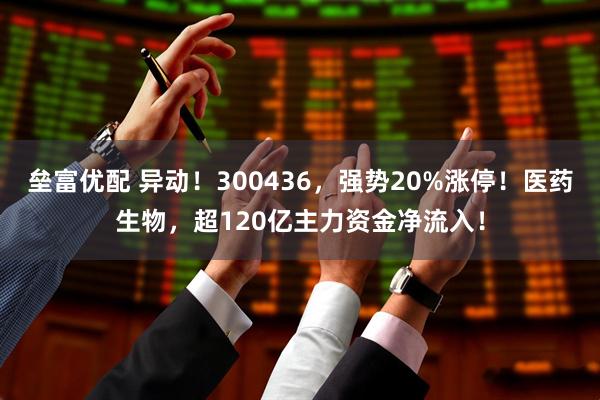 垒富优配 异动！300436，强势20%涨停！医药生物，超120亿主力资金净流入！