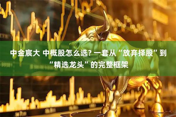 中金宸大 中概股怎么选? 一套从“放弃择股”到“精选龙头”的完整框架