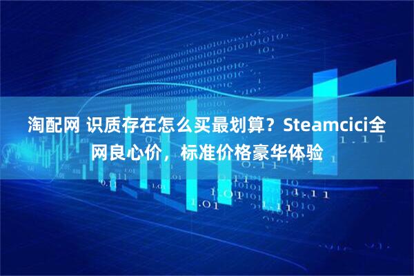 淘配网 识质存在怎么买最划算？Steamcici全网良心价，标准价格豪华体验