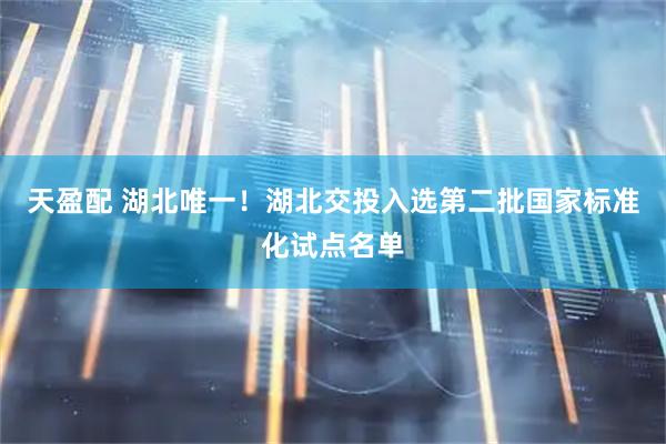 天盈配 湖北唯一！湖北交投入选第二批国家标准化试点名单