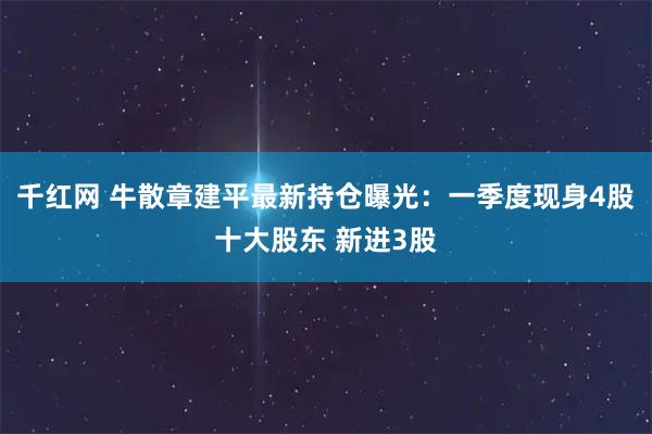 千红网 牛散章建平最新持仓曝光：一季度现身4股十大股东 新进3股