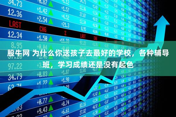 股牛网 为什么你送孩子去最好的学校，各种辅导班，学习成绩还是没有起色