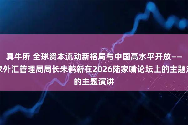 真牛所 全球资本流动新格局与中国高水平开放——国家外汇管理局局长朱鹤新在2026陆家嘴论坛上的主题演讲