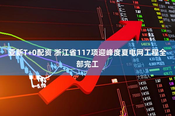 亚新T+0配资 浙江省117项迎峰度夏电网工程全部完工