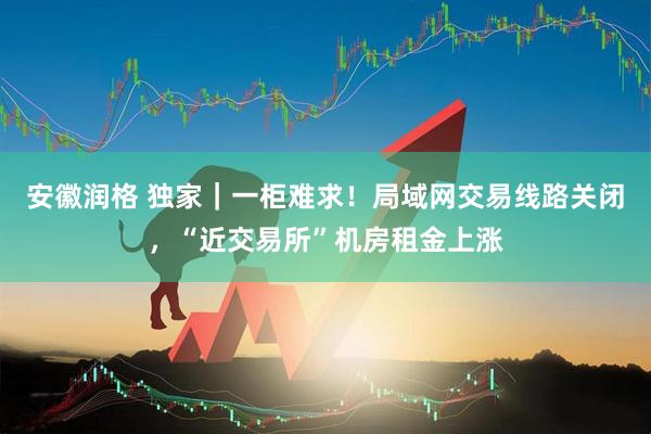 安徽润格 独家｜一柜难求！局域网交易线路关闭，“近交易所”机房租金上涨