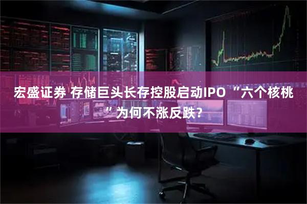 宏盛证券 存储巨头长存控股启动IPO “六个核桃”为何不涨反跌？