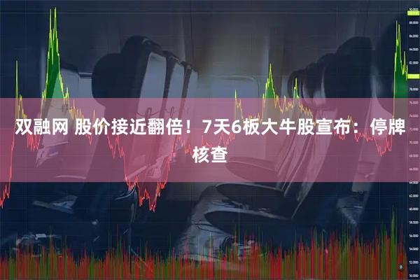 双融网 股价接近翻倍!7天6板大牛股宣布:停牌核查